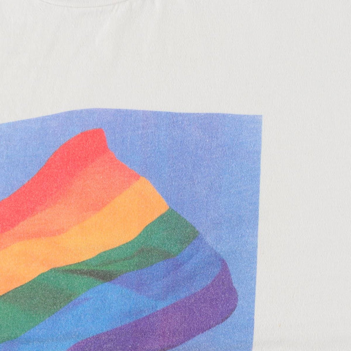 90'S Hanes BEEFY-T Printed T-shirt Made in USA Men's XL Vintage cotton white type Vintage Second Hand