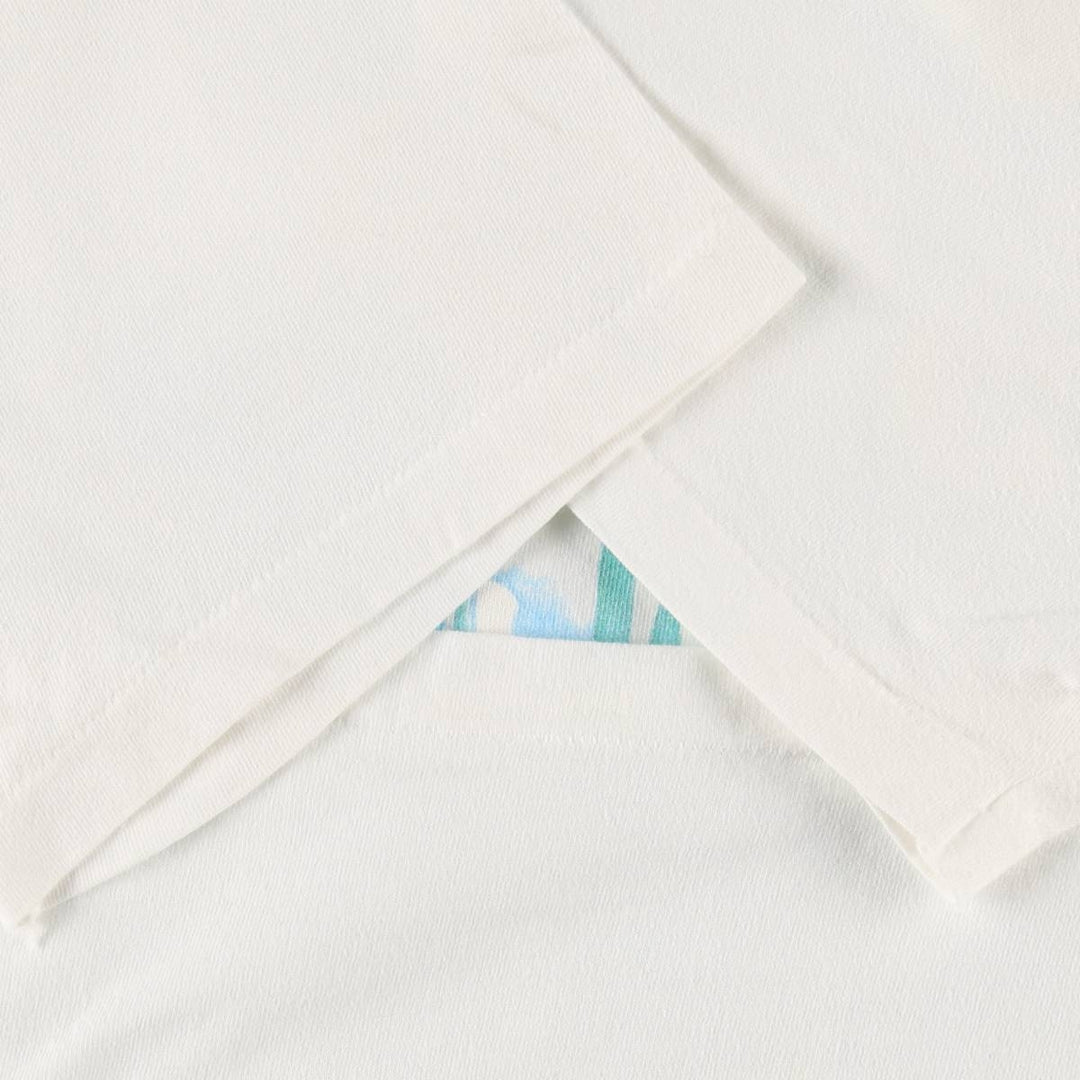 90'S Hanes BEEFY-T Floral Art T-Shirt, Made in USA, Men's XL equivalent, Vintage cotton white type Vintage Second Hand