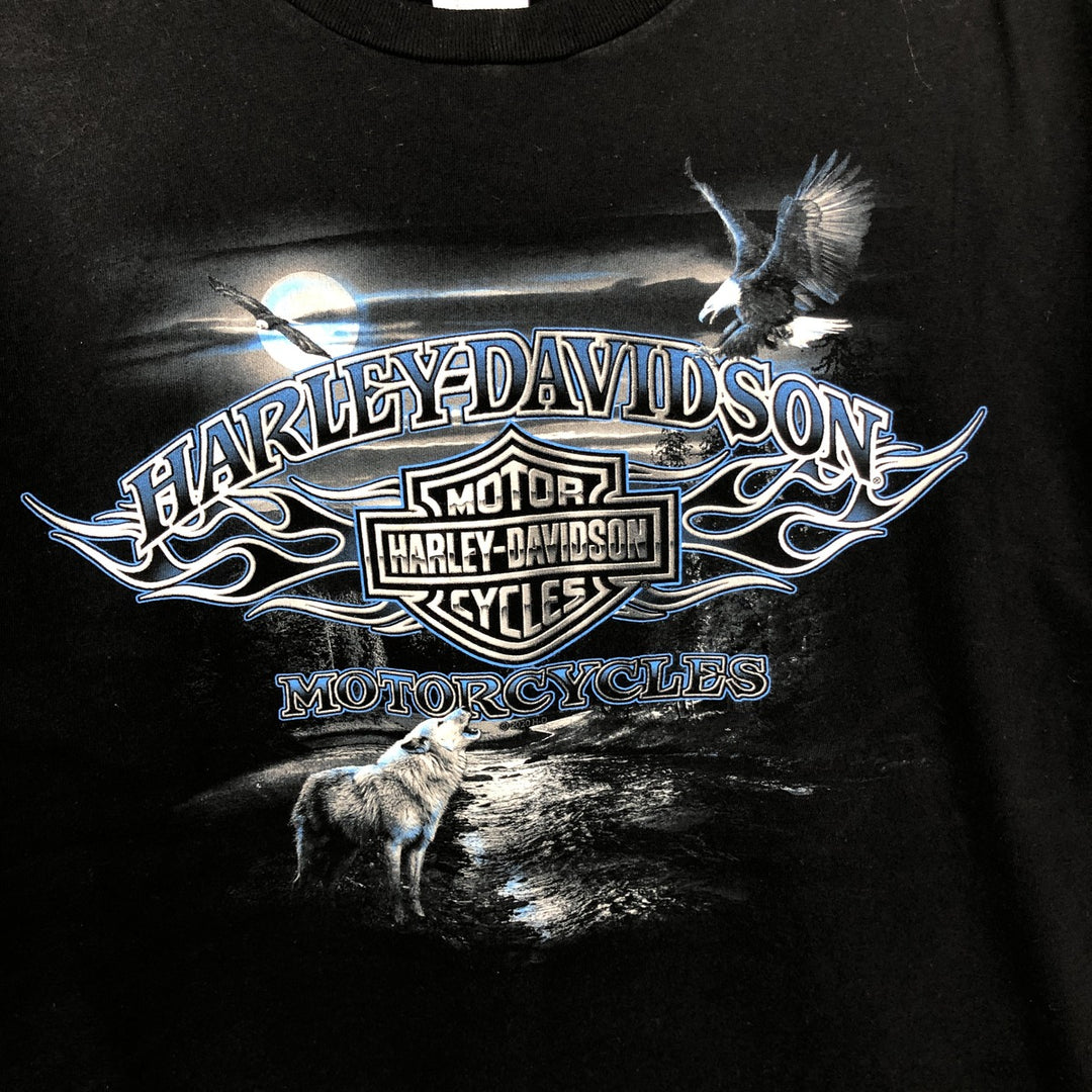Harley-Davidson Skull Pattern Skull Wing Motorcycle Bike T-Shirt, Made in USA, Men's XL (approx.) cotton black type Vintage Second Hand