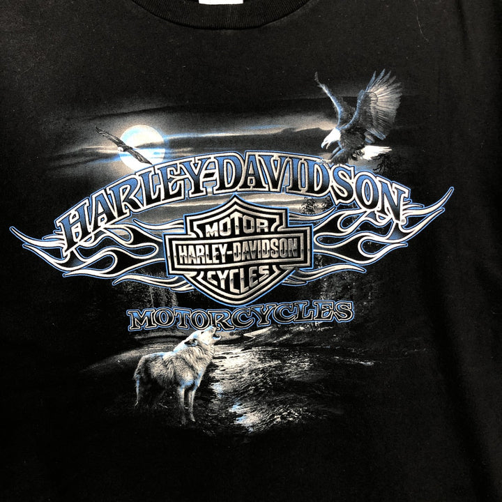 Harley-Davidson Skull Pattern Skull Wing Motorcycle Bike T-Shirt, Made in USA, Men's XL (approx.) cotton black type Vintage Second Hand
