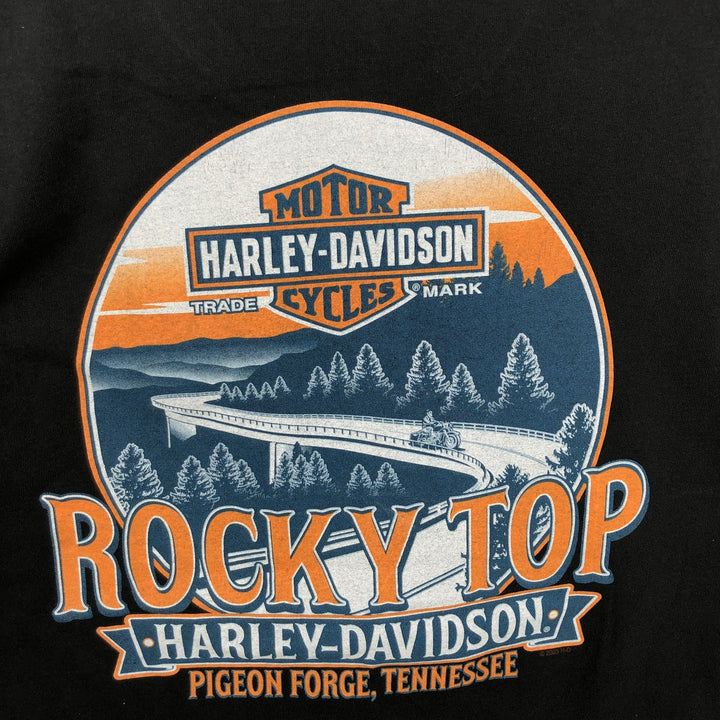 Harley-Davidson Eagle Pattern Motorcycle Bike T-shirt Men's S size unclear black type Vintage Second Hand