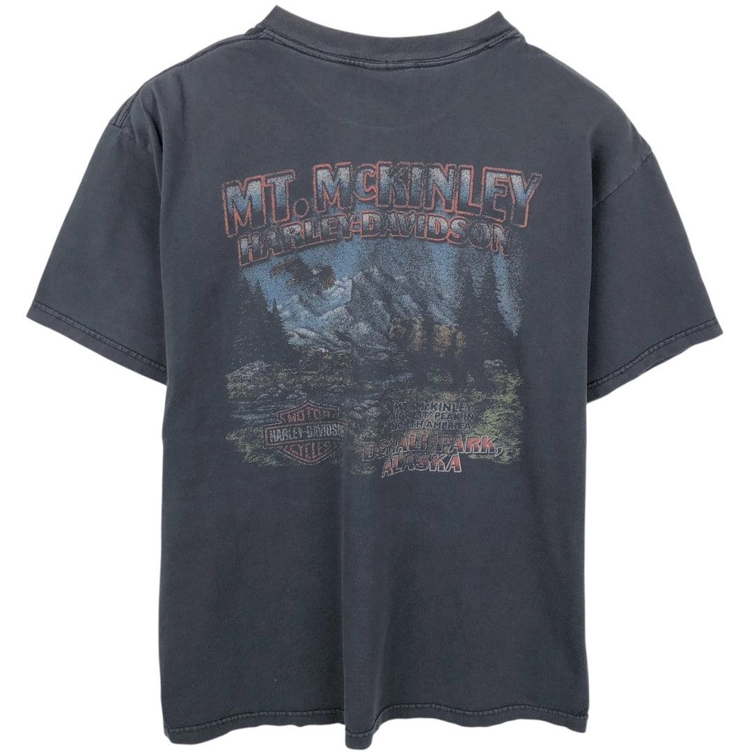Harley-Davidson Fire Pattern Motorcycle Bike T-Shirt Made in USA Men's L size cotton black type Vintage Second Hand