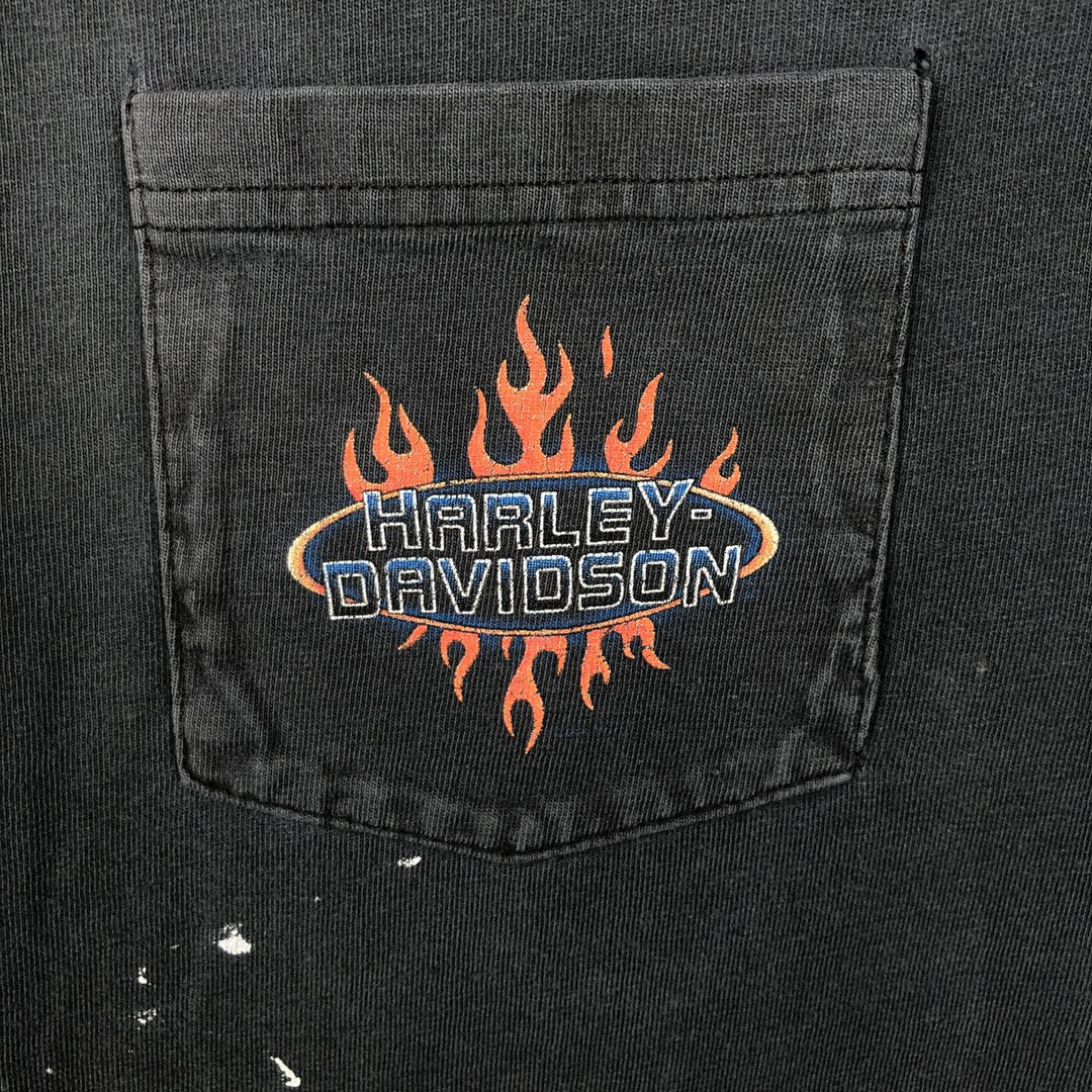 Harley-Davidson Fire Pattern Motorcycle Bike T-Shirt Made in USA Men's L size cotton black type Vintage Second Hand