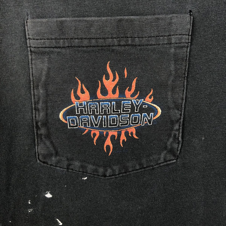 Harley-Davidson Fire Pattern Motorcycle Bike T-Shirt Made in USA Men's L size cotton black type Vintage Second Hand
