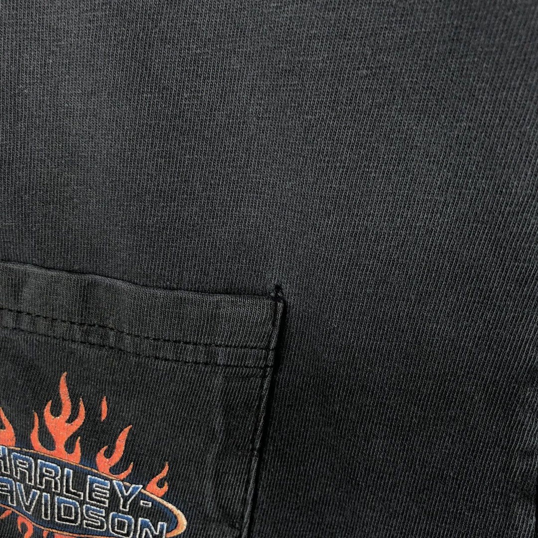 Harley-Davidson Fire Pattern Motorcycle Bike T-Shirt Made in USA Men's L size cotton black type Vintage Second Hand