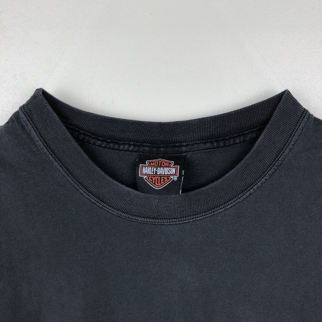 Harley-Davidson Fire Pattern Motorcycle Bike T-Shirt Made in USA Men's L size cotton black type Vintage Second Hand