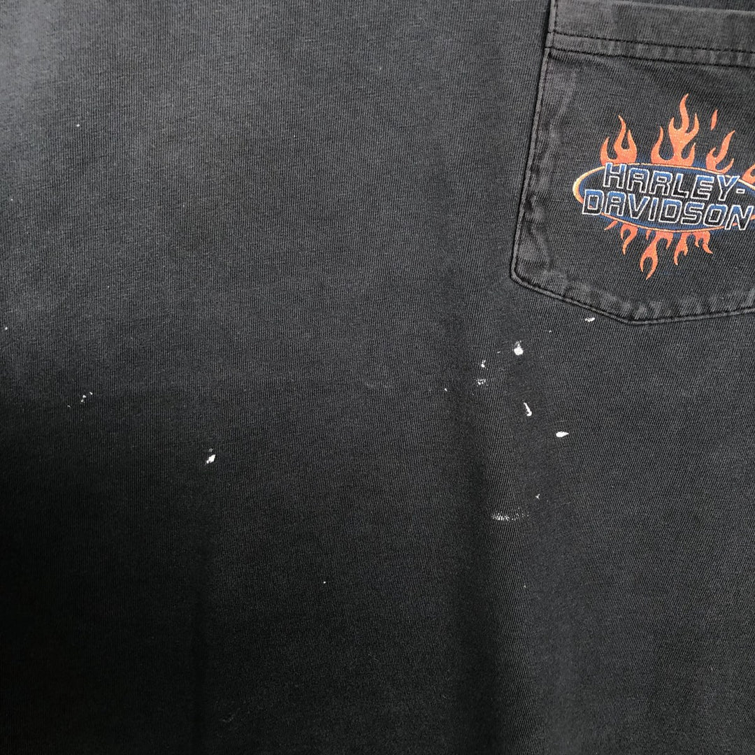 Harley-Davidson Fire Pattern Motorcycle Bike T-Shirt Made in USA Men's L size cotton black type Vintage Second Hand