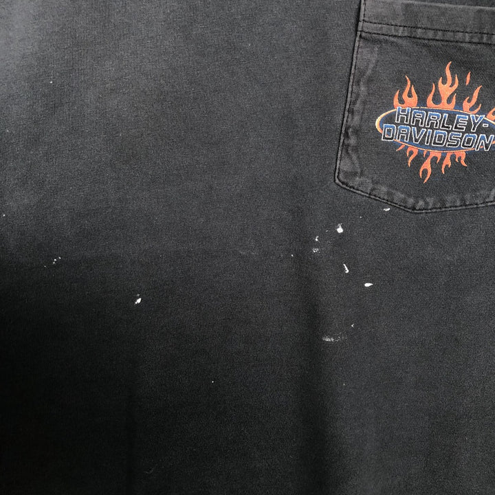 Harley-Davidson Fire Pattern Motorcycle Bike T-Shirt Made in USA Men's L size cotton black type Vintage Second Hand