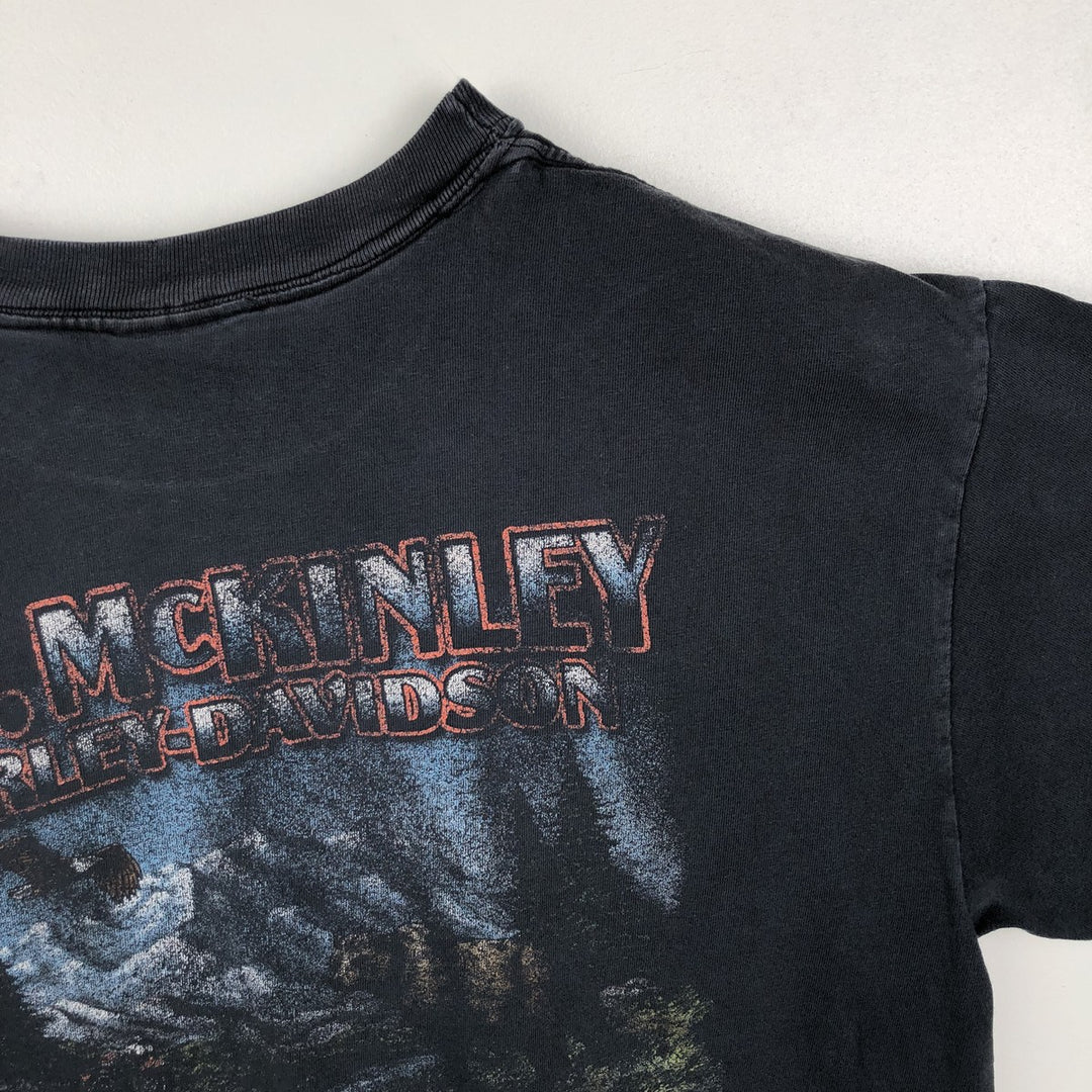 Harley-Davidson Fire Pattern Motorcycle Bike T-Shirt Made in USA Men's L size cotton black type Vintage Second Hand