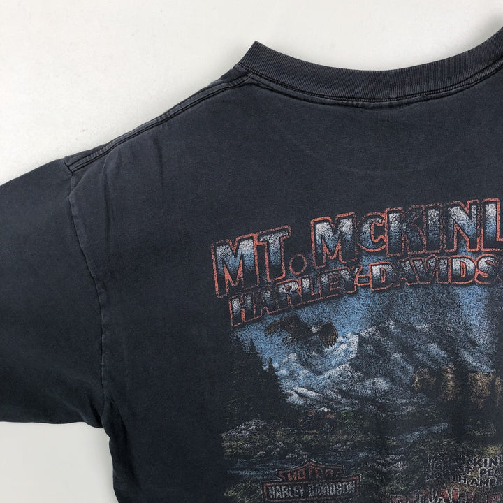 Harley-Davidson Fire Pattern Motorcycle Bike T-Shirt Made in USA Men's L size cotton black type Vintage Second Hand