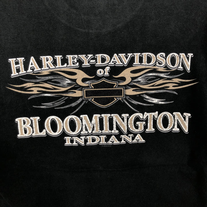 00'S Harley-Davidson Tribal Motorcycle Bike T-shirt Men's M size cotton black type Vintage Second Hand