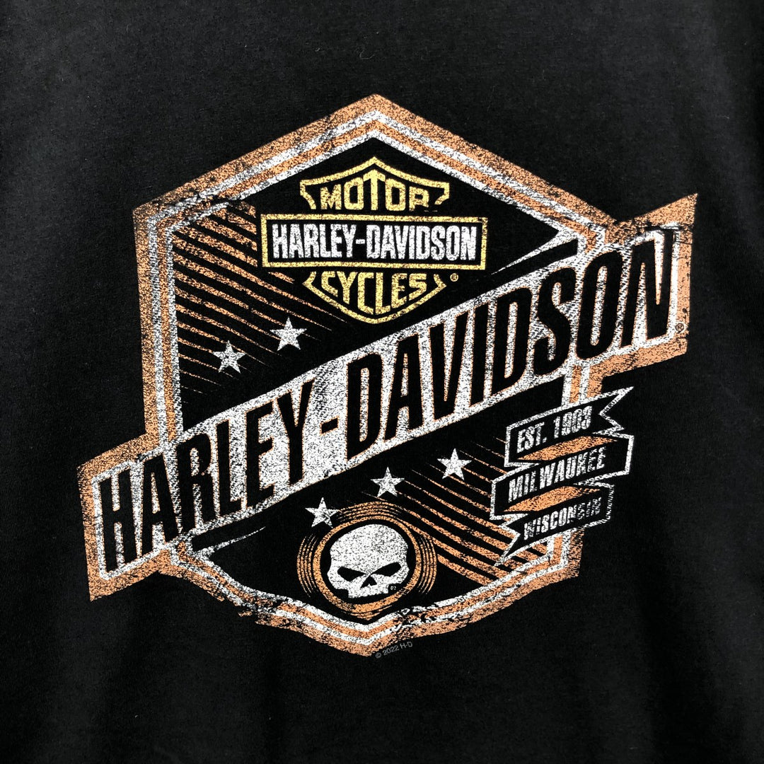 Harley-Davidson Eagle Pattern Motorcycle Long-Sleeve T-Shirt (Men's Size L) cotton black type Vintage Second Hand