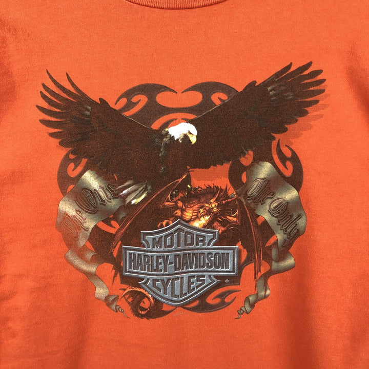 Harley-Davidson Eagle Pattern Motorcycle Long-Sleeve T-Shirt, Made in USA, Men's Size XL (approx.) cotton orange type Vintage Second Hand