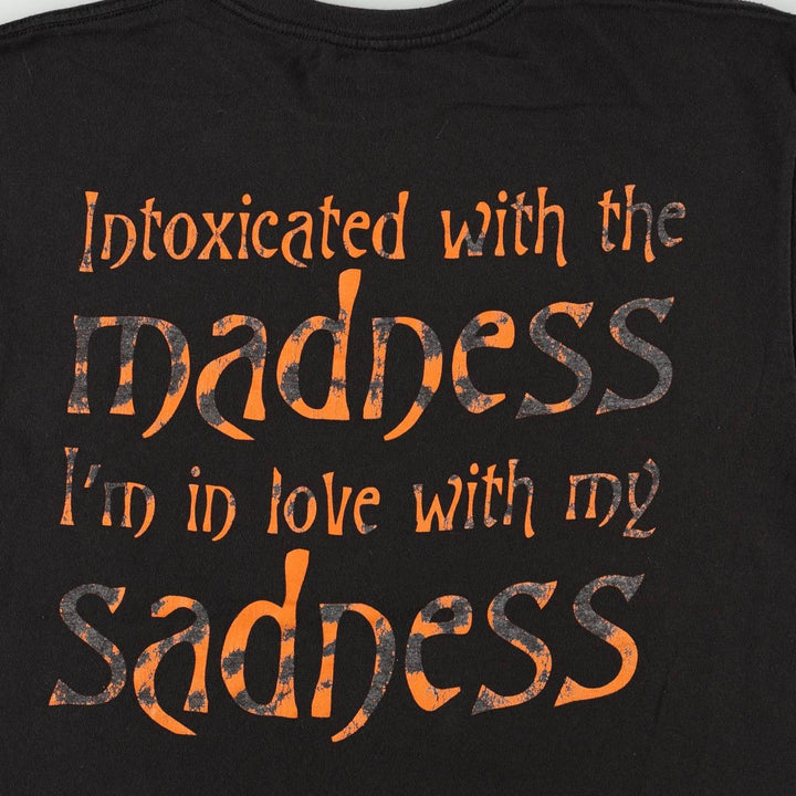 THE SMASHING PUMPKINS Smashing Pumpkins Band T-shirt Band T Men's L size cotton black type Vintage Second Hand