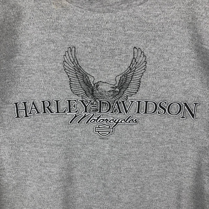 2000'S Harley-Davidson Eagle Pattern Motorcycle Thermal Long-Sleeve T-Shirt, Made in USA, Men's Size L (approx.) cotton gray type Vintage Second Hand