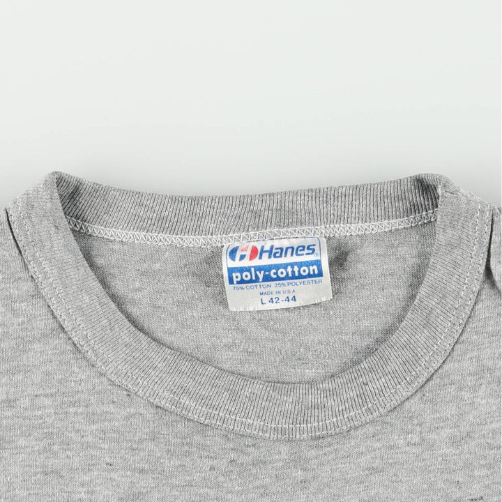 1980'S Hanes Poly-Cotton Blue Tag Souvenir T-Shirt, Made in USA, Men's Size L (approx.), Vintage cotton gray type Vintage Second Hand