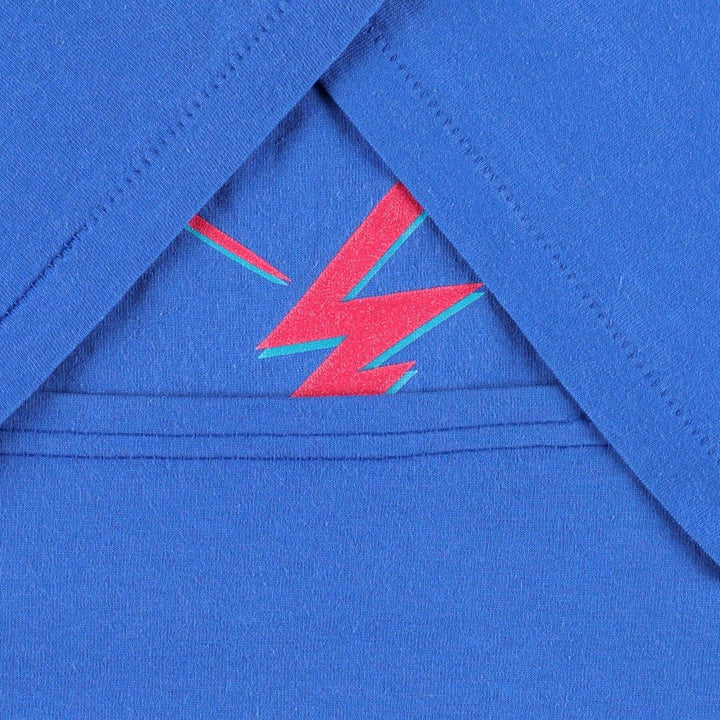 90s~00'S Hanes HEAVYWEIGHT 50 cotton blue type Vintage Second Hand