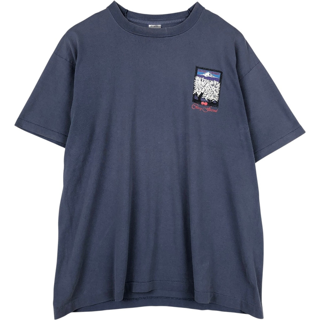 90'S Fruit of the Loom print T-shirt, Made in USA, Men's XL cotton Blue type light blue Vintage Second Hand