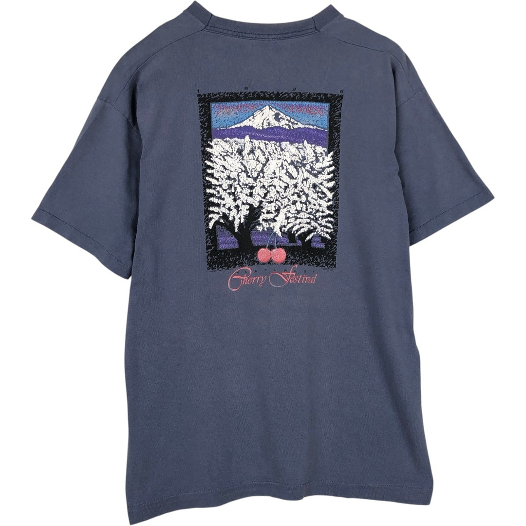 90'S Fruit of the Loom print T-shirt, Made in USA, Men's XL cotton Blue type light blue Vintage Second Hand