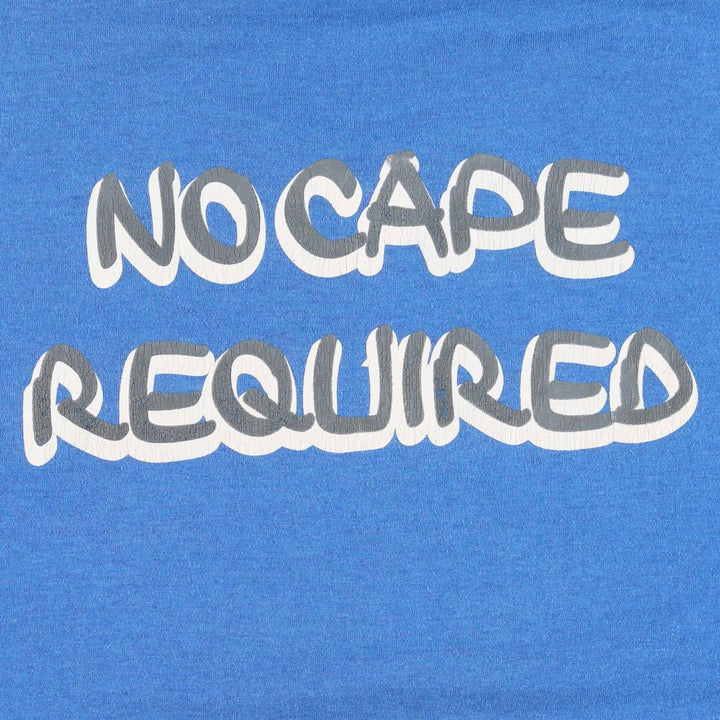 2000'S Fruit of the Loom parody print T-shirt, men's size L (approx.) cotton blue type Vintage Second Hand