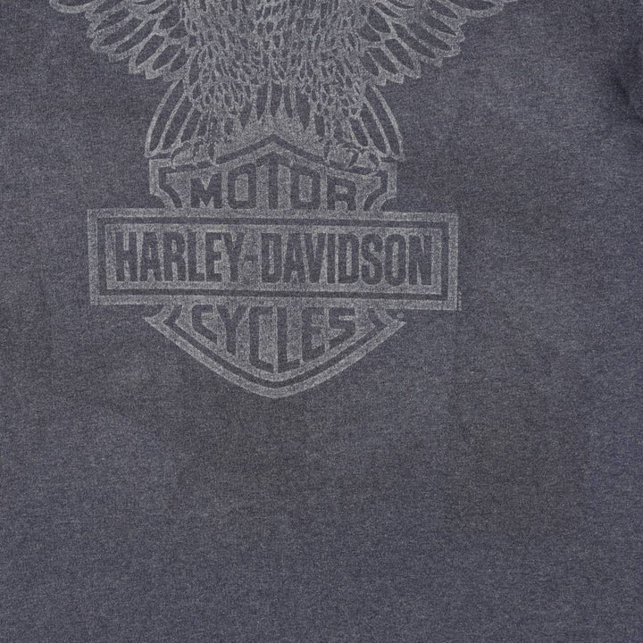 Harley-Davidson Eagle Pattern Stars and Stripes Motorcycle T-Shirt, Made in USA, Men's Size Large cotton Charcoal Vintage Second Hand