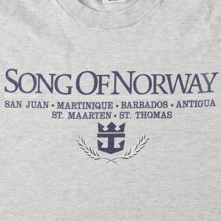 90'S Anvil College T-Shirt, Made in USA, Men's XL equivalent, Vintage cotton gray type Vintage Second Hand