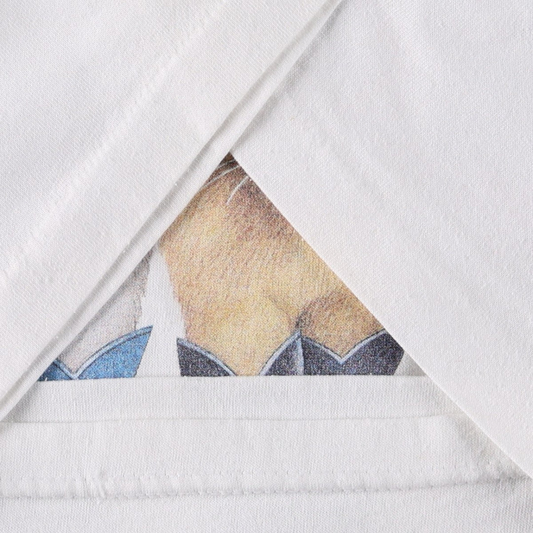 90'S Hanes HEAVYWEIGHT 50 cotton white type Vintage Second Hand