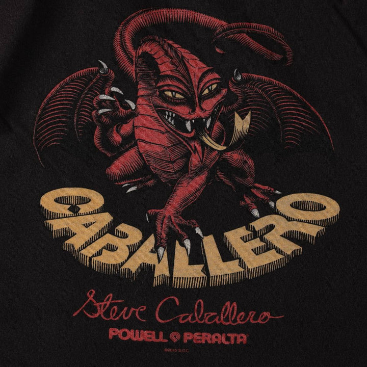 POWELL PERALTA Surf Skate T-Shirt, Men's Size XL (approx.) cotton black type Vintage Second Hand