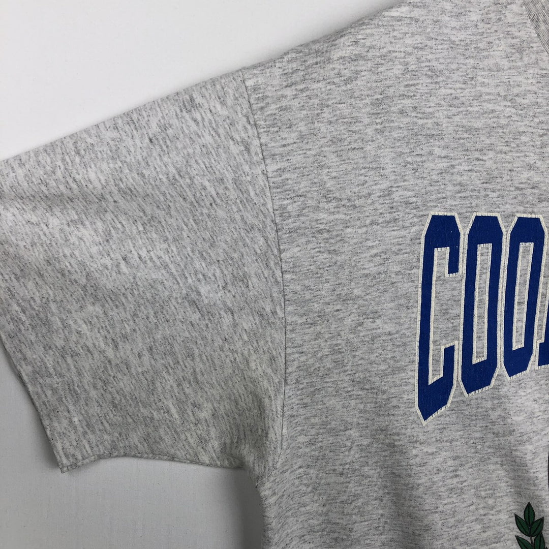 90'S Hanes HEAVYWEIGHT 50 cotton gray type Vintage Second Hand