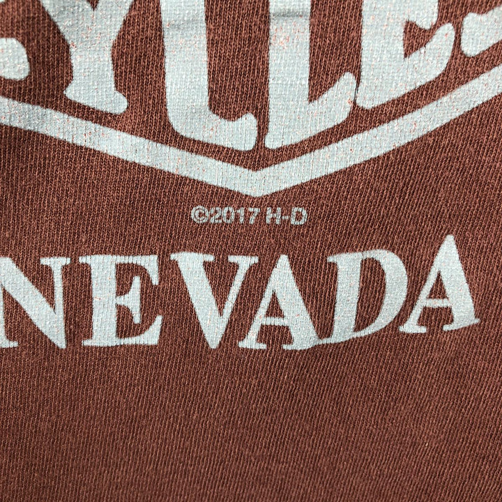 Harley-Davidson Eagle Pattern Motorcycle Long-Sleeve T-Shirt (Men's Size L) cotton red type reddish brown Vintage Second Hand