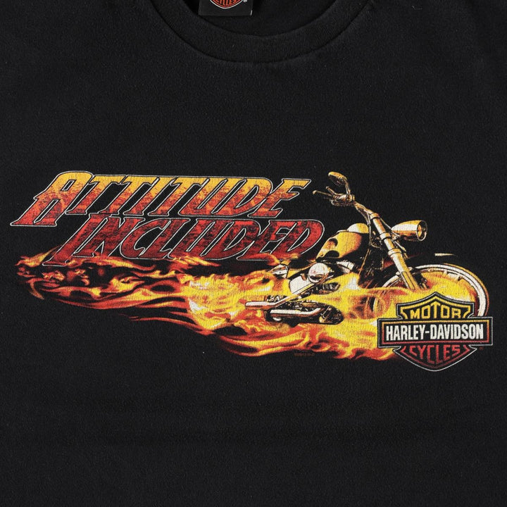 Harley-Davidson Fire Pattern Motorcycle Bike T-Shirt Men's XXL unclear black type Vintage Second Hand