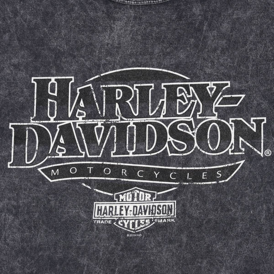Harley-Davidson Fire Pattern Eagle Design Motorcycle T-Shirt, Men's XXL (approx.) cotton Charcoal Vintage Second Hand