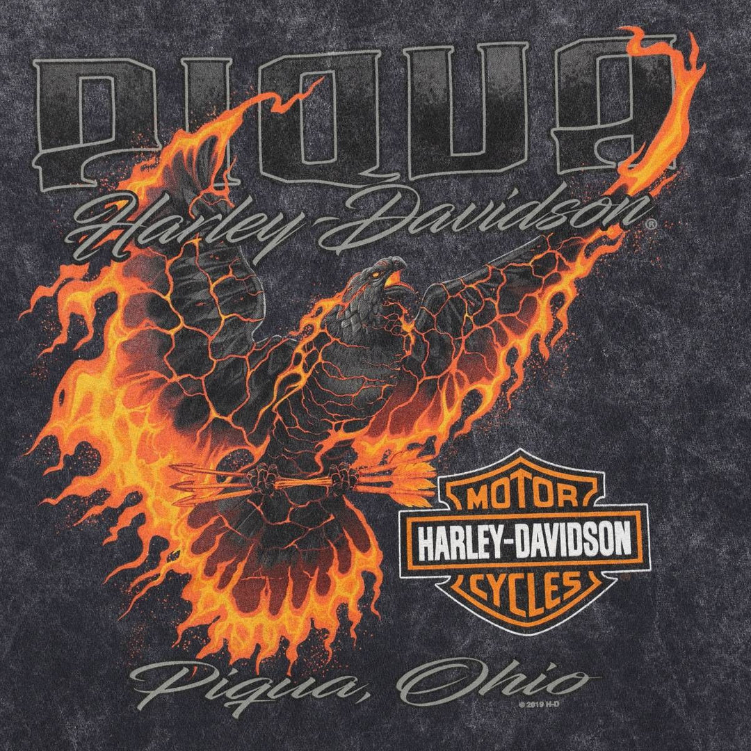 Harley-Davidson Fire Pattern Eagle Design Motorcycle T-Shirt, Men's XXL (approx.) cotton Charcoal Vintage Second Hand