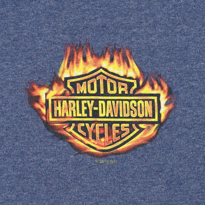 Harley-Davidson Fire Pattern Motorcycle Bike T-Shirt, Men's Medium cotton blue type Vintage Second Hand