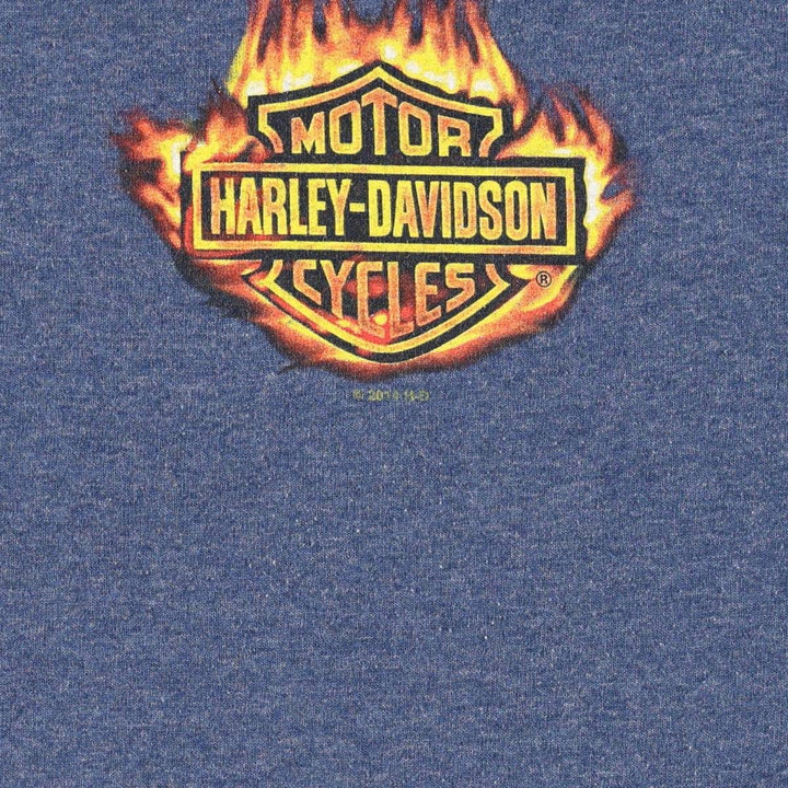 Harley-Davidson Fire Pattern Motorcycle Bike T-Shirt, Men's Medium cotton blue type Vintage Second Hand