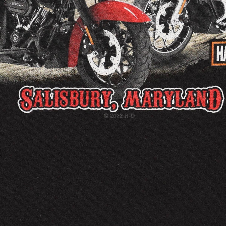 Harley-Davidson Fire Pattern Motorcycle Bike T-Shirt, Men's Medium unclear black type Vintage Second Hand