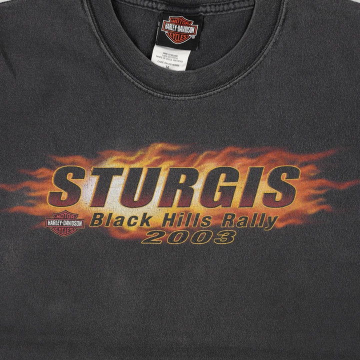 2000'S Harley-Davidson Fire Pattern Motorcycle T-Shirt, Made in USA, Men's Size Medium cotton black type Vintage Second Hand