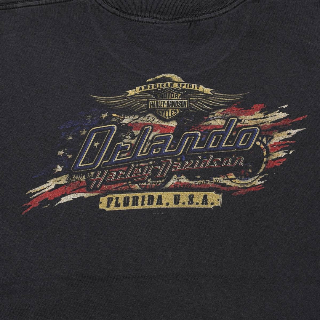 2000'S Harley-Davidson Eagle Pattern/Stars and Stripes Motorcycle T-Shirt, Men's Size L (approx.) unclear black type Vintage Second Hand