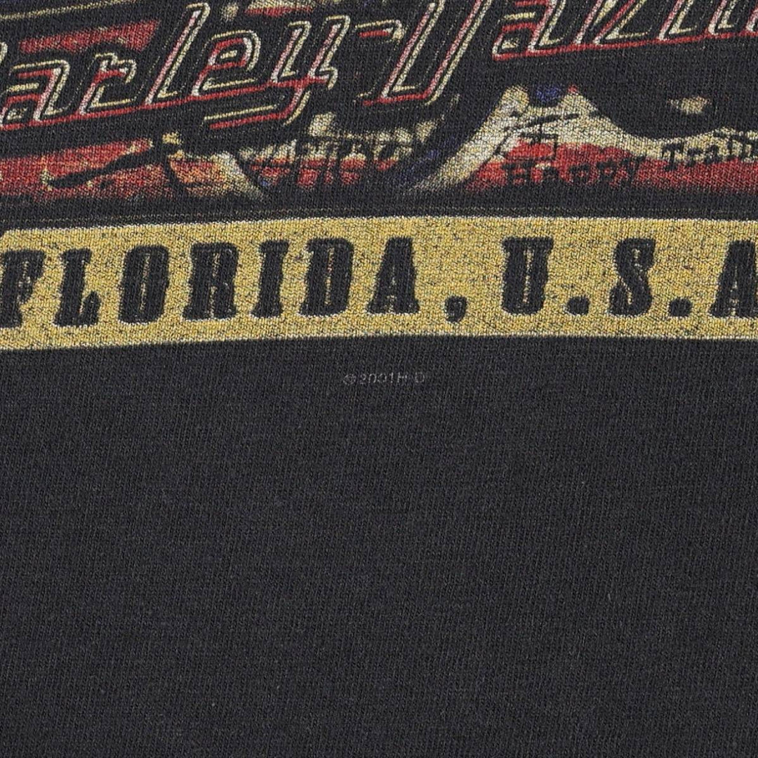 2000'S Harley-Davidson Eagle Pattern/Stars and Stripes Motorcycle T-Shirt, Men's Size L (approx.) unclear black type Vintage Second Hand