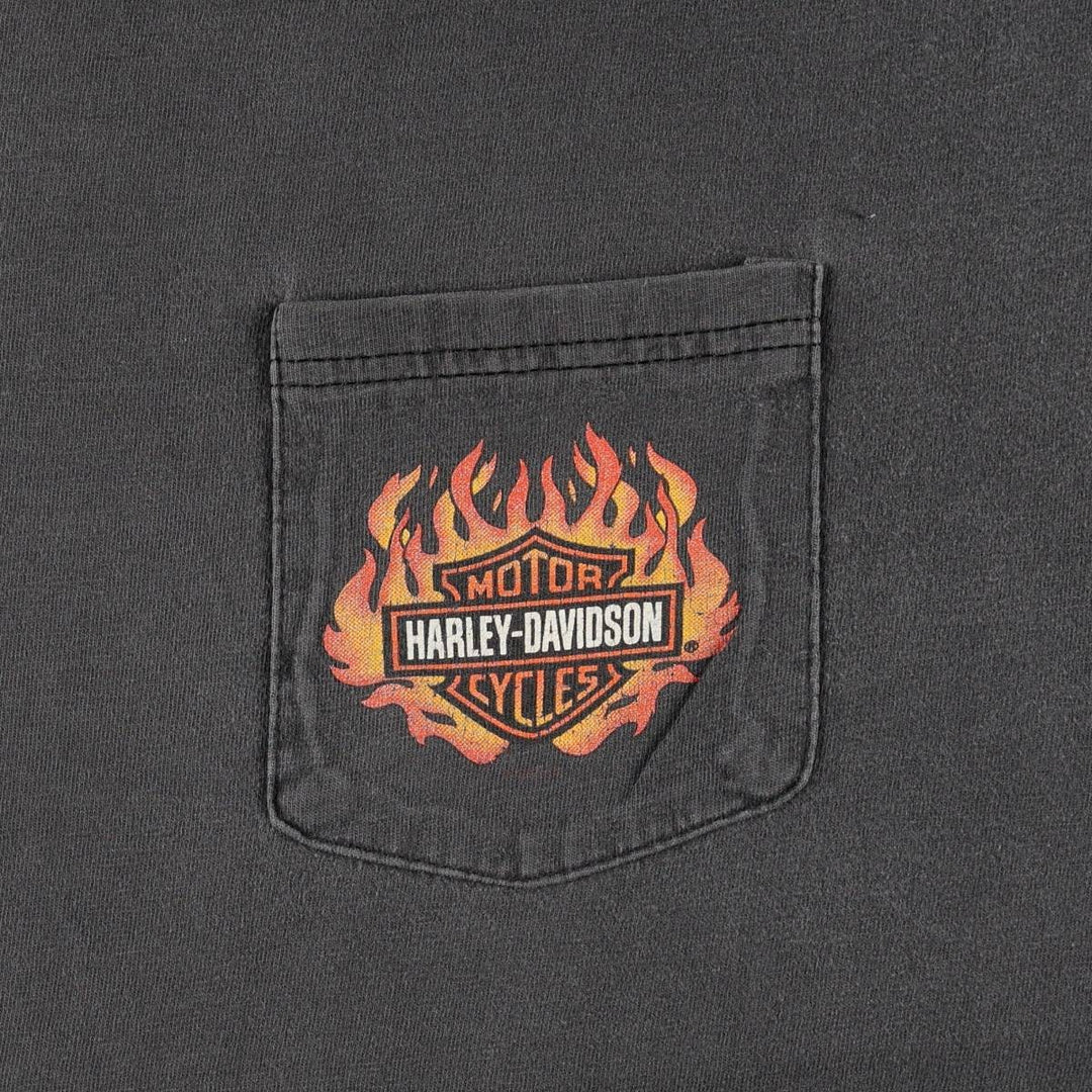 Harley-Davidson Fire Pattern Motorcycle Bike T-Shirt Men's XL unclear Charcoal Vintage Second Hand