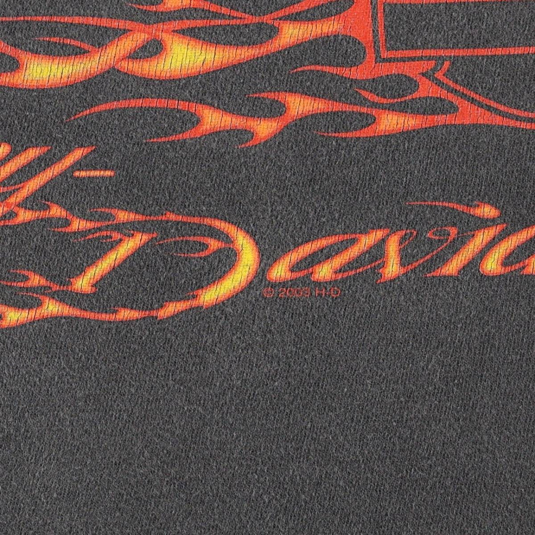 2000'S Harley-Davidson Fire Pattern Motorcycle T-Shirt, Made in USA, Men's Size XXXL (approx.) cotton black type Vintage Second Hand