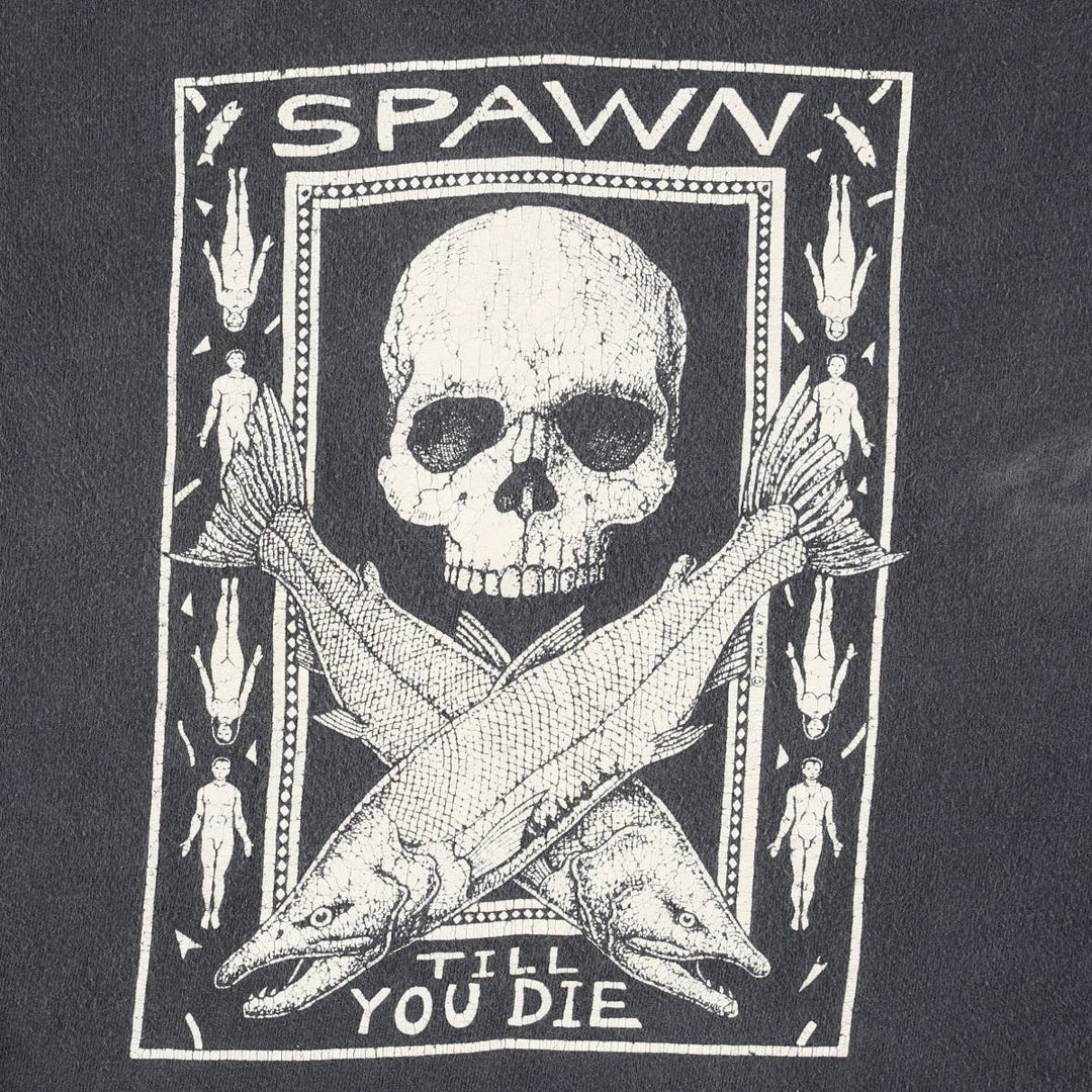 Hanes BEEFY-T RAY TROLL Skull Pattern Band T-Shirt, Made in USA, Men's Size L (approx.) cotton black type Vintage Second Hand