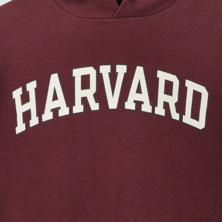 Champion ECO FLEECE College Sweat Pullover Hoodie, Men's Size M cotton burgundy type Vintage Second Hand