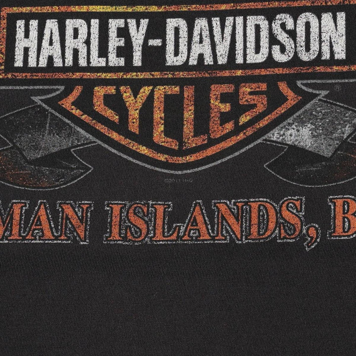 Harley-Davidson Fire Pattern Eagle Design Motorcycle T-Shirt, Men's XXL (approx.) cotton black type Vintage Second Hand