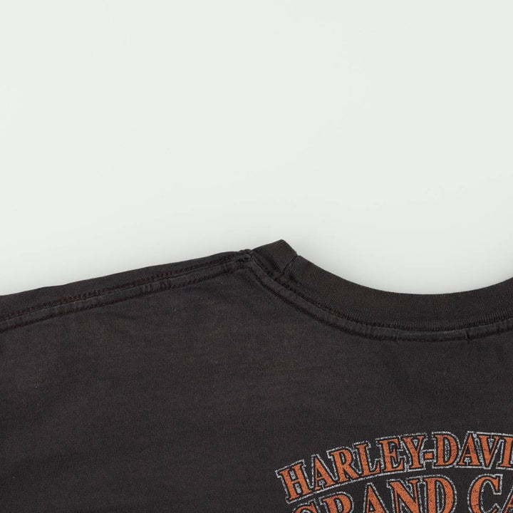 Harley-Davidson Fire Pattern Eagle Design Motorcycle T-Shirt, Men's XXL (approx.) cotton black type Vintage Second Hand