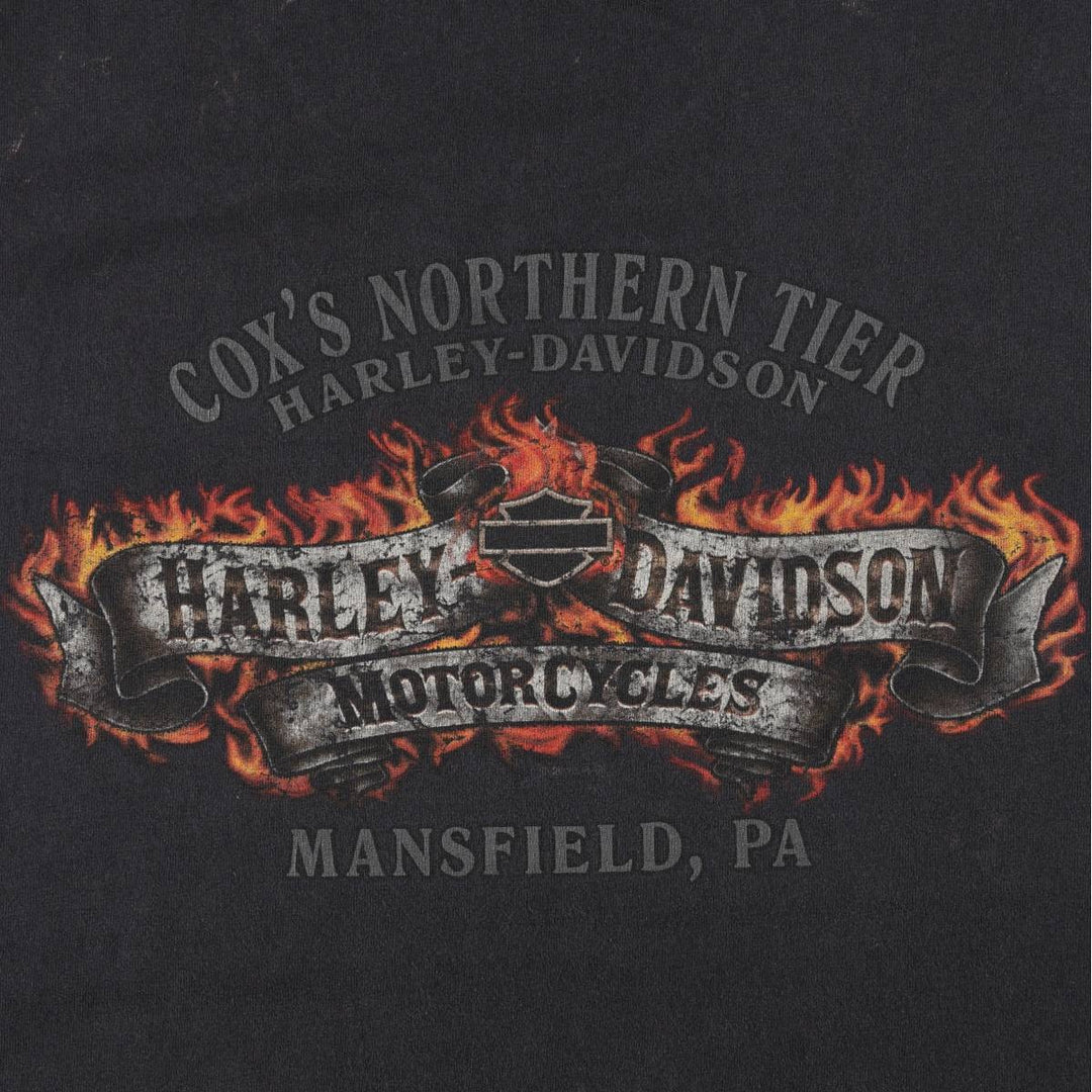 Harley-Davidson Fire Pattern Sleeveless Motorcycle T-Shirt, Men's Size XL unclear black type Vintage Second Hand
