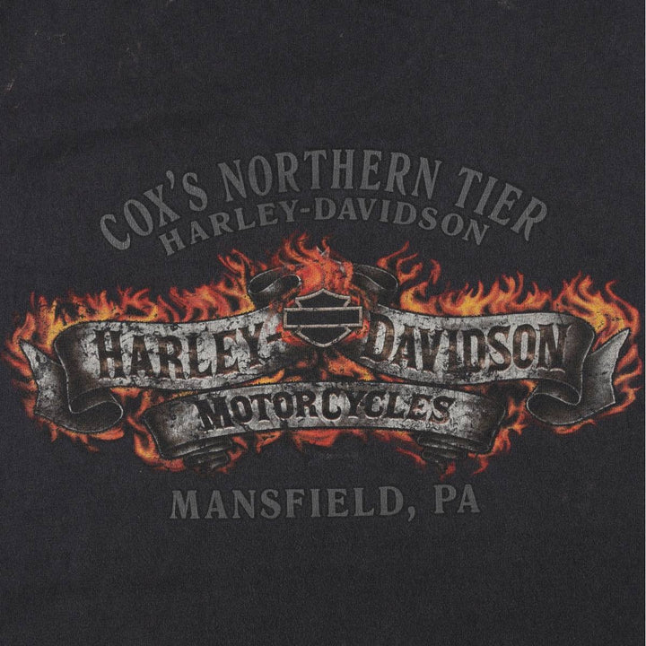 Harley-Davidson Fire Pattern Sleeveless Motorcycle T-Shirt, Men's Size XL unclear black type Vintage Second Hand