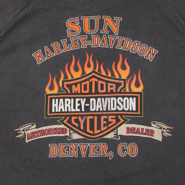 2000'S Harley-Davidson Fire Pattern Motorcycle T-Shirt, Men's Size XL (approx.) cotton black type Vintage Second Hand