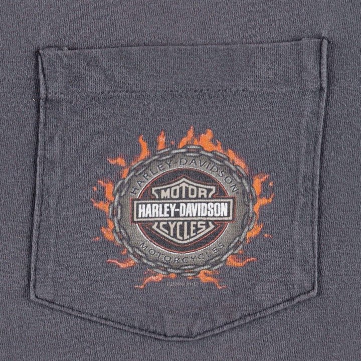 00'S Harley-Davidson Fire Pattern Motorcycle Bike T-Shirt Made in USA Men's XL cotton Charcoal Vintage Second Hand