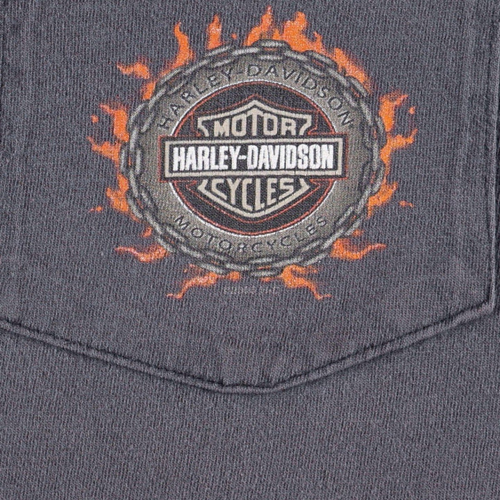 00'S Harley-Davidson Fire Pattern Motorcycle Bike T-Shirt Made in USA Men's XL cotton Charcoal Vintage Second Hand